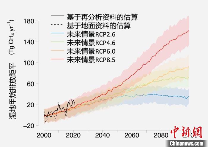 基于觀測的濕地甲烷排放變化與未來氣候變化情景下估算的對比。　中科院青藏高原所 供圖