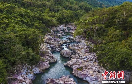 2018年海南生態(tài)環(huán)境狀況等級為“優(yōu)”，植被覆蓋率高，生物多樣性豐富，生態(tài)系統(tǒng)穩(wěn)定，圖為海南中部熱帶雨林。　駱云飛　攝