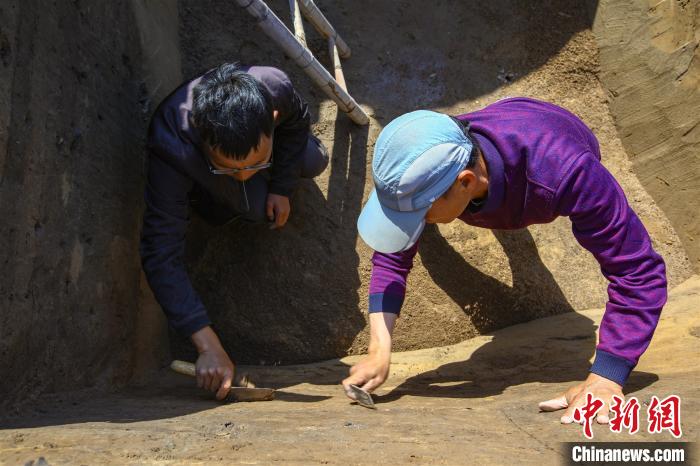 探秘古航道上的大型墓葬群：龍山、唐朝等數(shù)千年文化同步展現(xiàn)