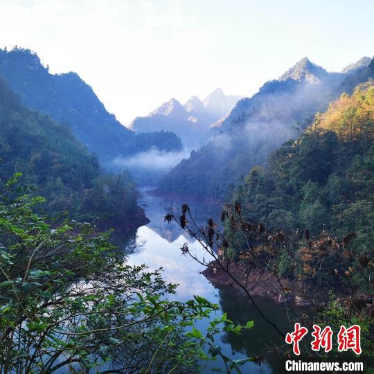 黃荊老林自然保護中心成立探索生態(tài)保護與社區(qū)經(jīng)濟發(fā)展平衡