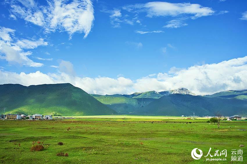 納帕海濕地風(fēng)景。呂昊辰攝