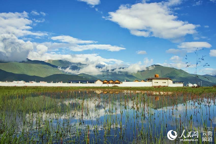 納帕海濕地風(fēng)景。呂昊辰攝