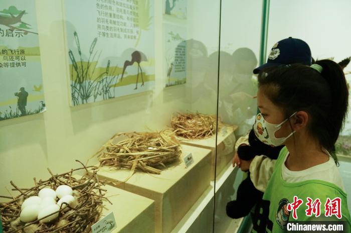 圖為小朋友在青海西寧湟水國(guó)家濕地公園科普館內(nèi)參觀學(xué)習(xí)。　馬銘言 攝