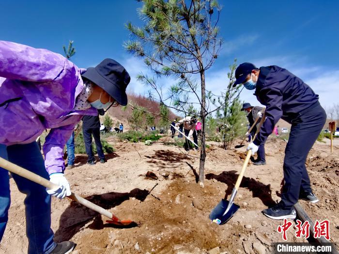 青海掀起春季義務植樹高潮今年計劃義務植樹1500萬株