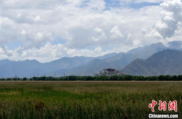 圖為拉薩拉魯濕地。　李林 攝