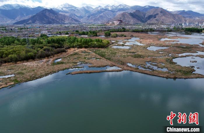 圖為拉薩拉魯濕地。(無(wú)人機(jī)照片) 李林 攝