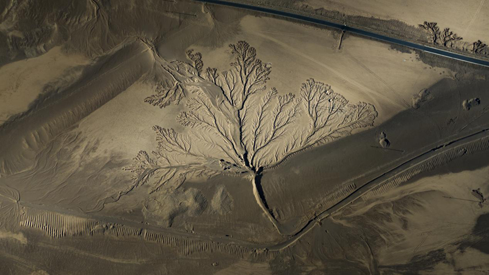 無人機(jī)視角下的西藏阿里地區(qū)改則縣“大地之樹”景觀。尼瑪多吉攝