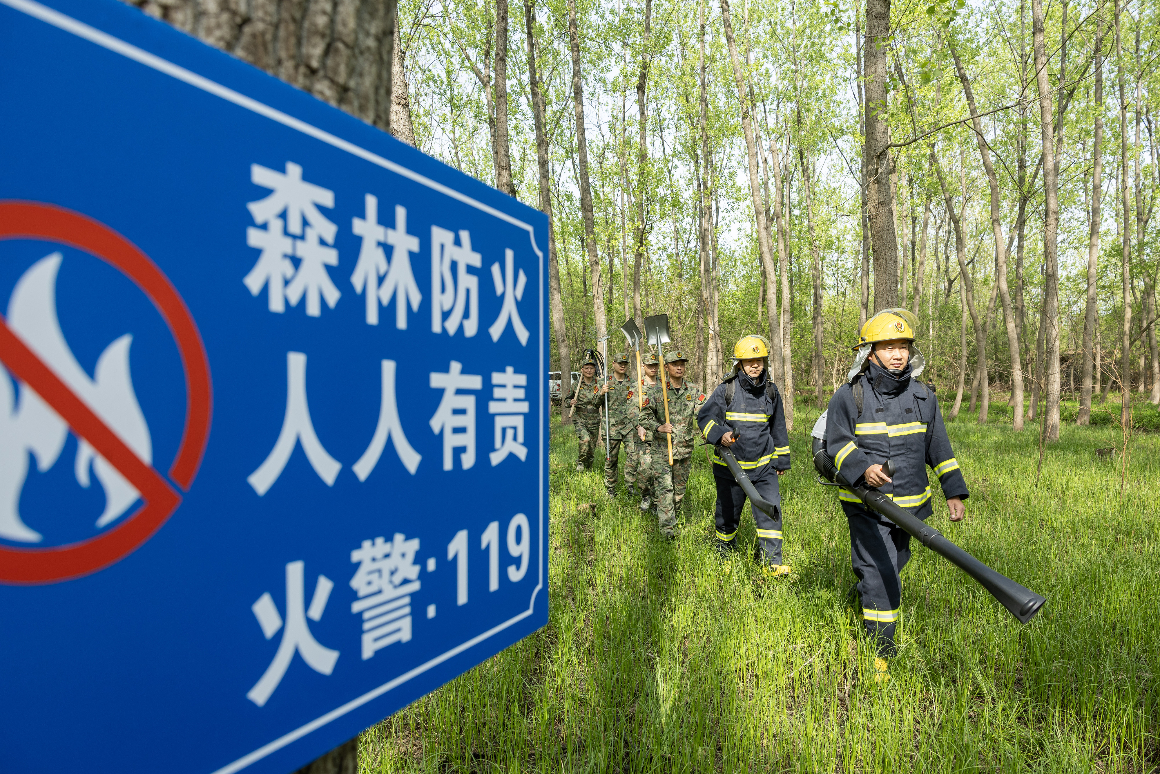 2024年4月9日，合肥市大房郢水庫水源保護地廬陽經(jīng)濟開發(fā)區(qū)段，基干民兵正在林間巡查火災隱患。