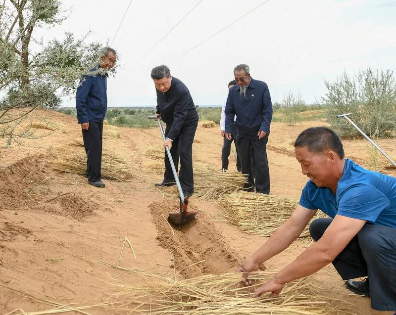 2019年8月21日，習(xí)近平來到甘肅省武威市古浪縣八步沙林場，實(shí)地察看當(dāng)?shù)刂紊吃炝?、生態(tài)保護(hù)等情況。新華社記者 謝環(huán)馳 攝