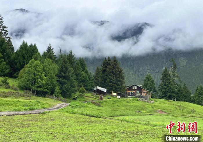 6月10日，魯朗小鎮(zhèn)高山牧場景區(qū)風(fēng)光?！∪轿木?攝