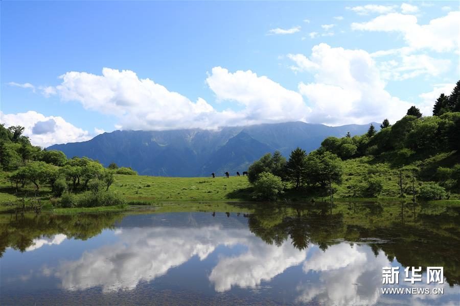 （新華視界）（6）甘肅舟曲：夏日藏鄉(xiāng)畫(huà)中景