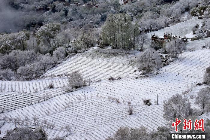 雪后的高山田間如畫。　李永安 攝