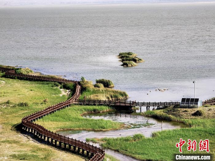 圖為都蘭湖國家濕地公園觀光棧道?！∑钤鲚?攝