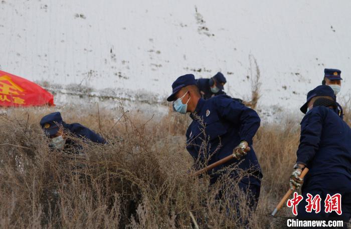 圖為200余名消防員在布達拉宮后山集合除草?！≮w朗 攝