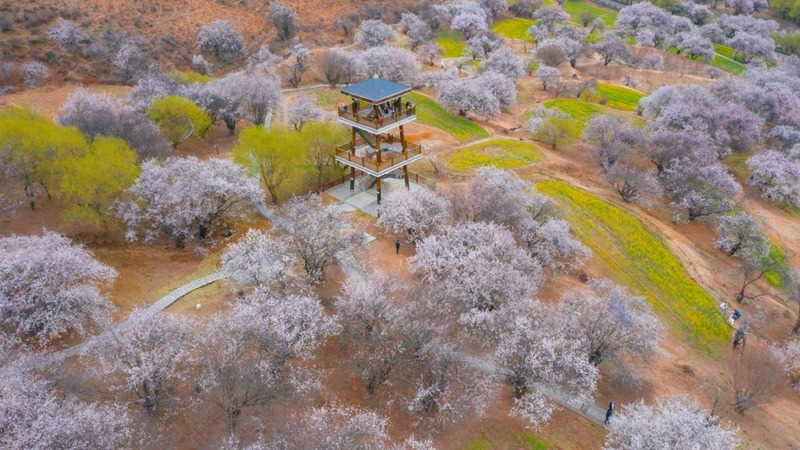 林芝嘎拉村。 張靜攝