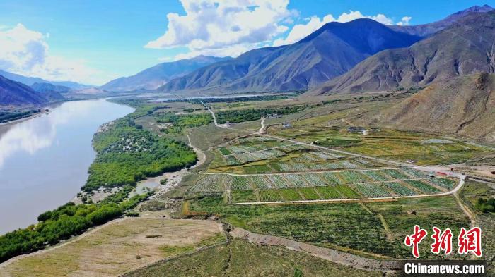 圖為桑日縣葡萄種植基地。　山南桑日縣委宣傳部提供