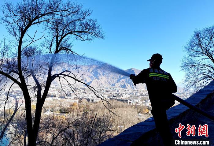 12月6日，布達(dá)拉宮消防救援大隊(duì)在布達(dá)拉宮山體林草區(qū)域開展?jié)窕ぷ?。　劉?攝