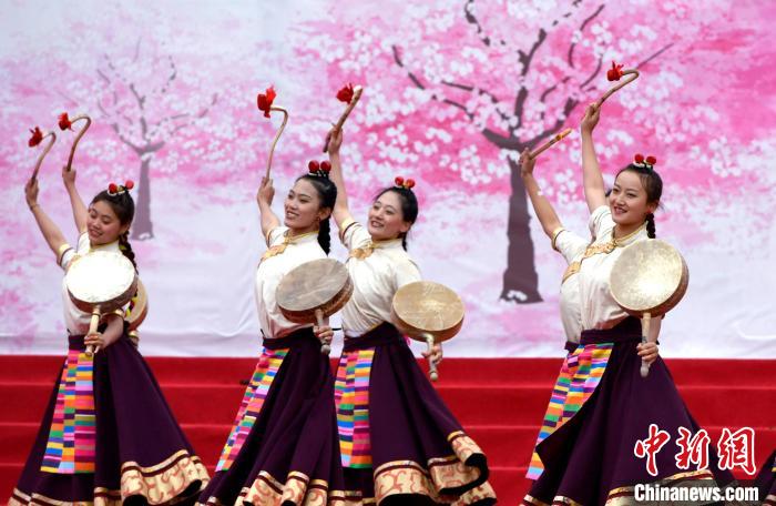 3月28日，西藏林芝第二十屆桃花旅游文化節(jié)開幕式上的文藝表演?！±盍?攝