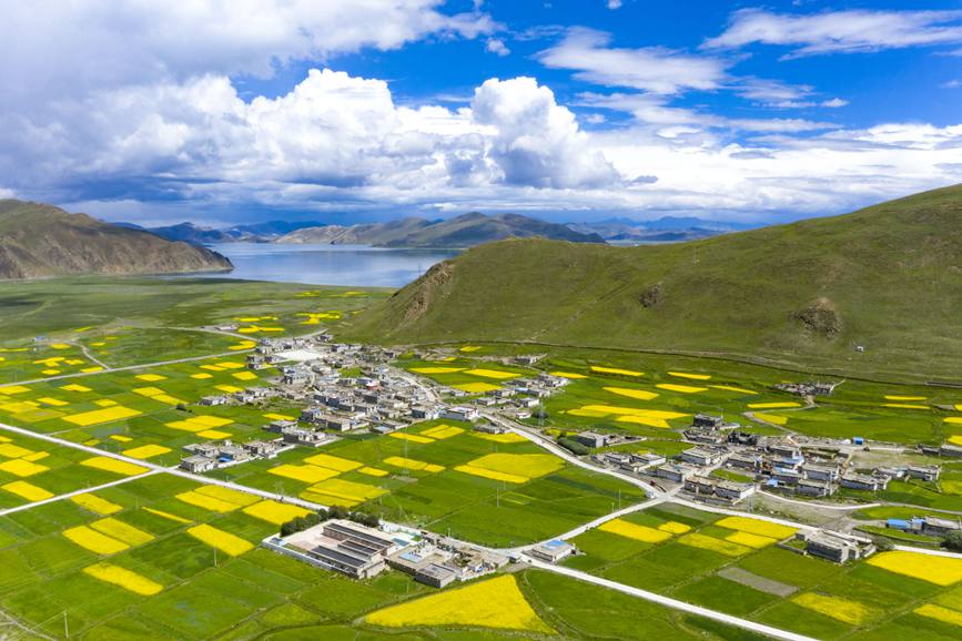 航拍道布龍村，依山傍水，阡陌縱橫。