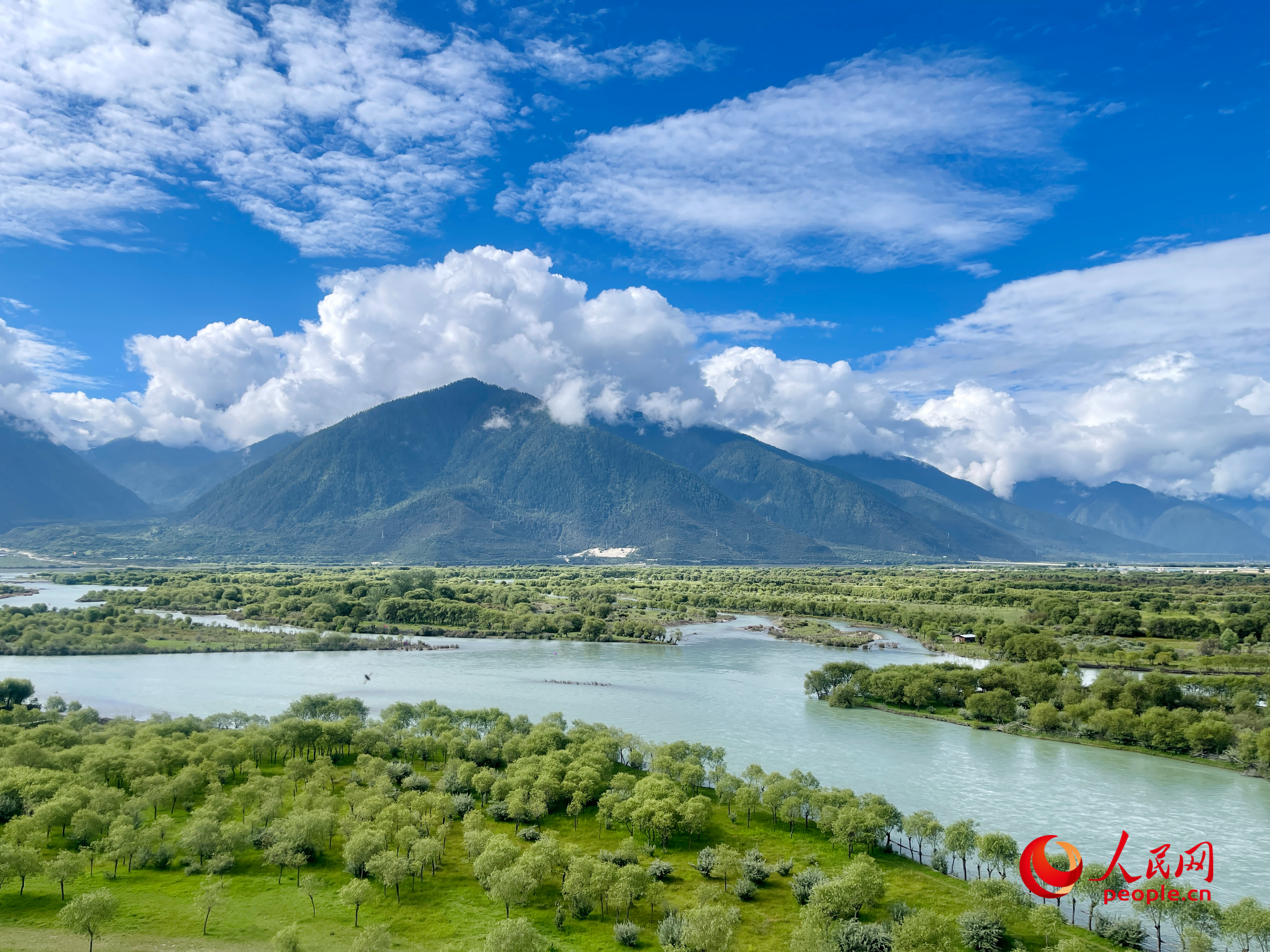 夏日的雅尼國(guó)家濕地公園生機(jī)盎然，如詩(shī)如畫(huà)。人民網(wǎng) 周靜圓攝