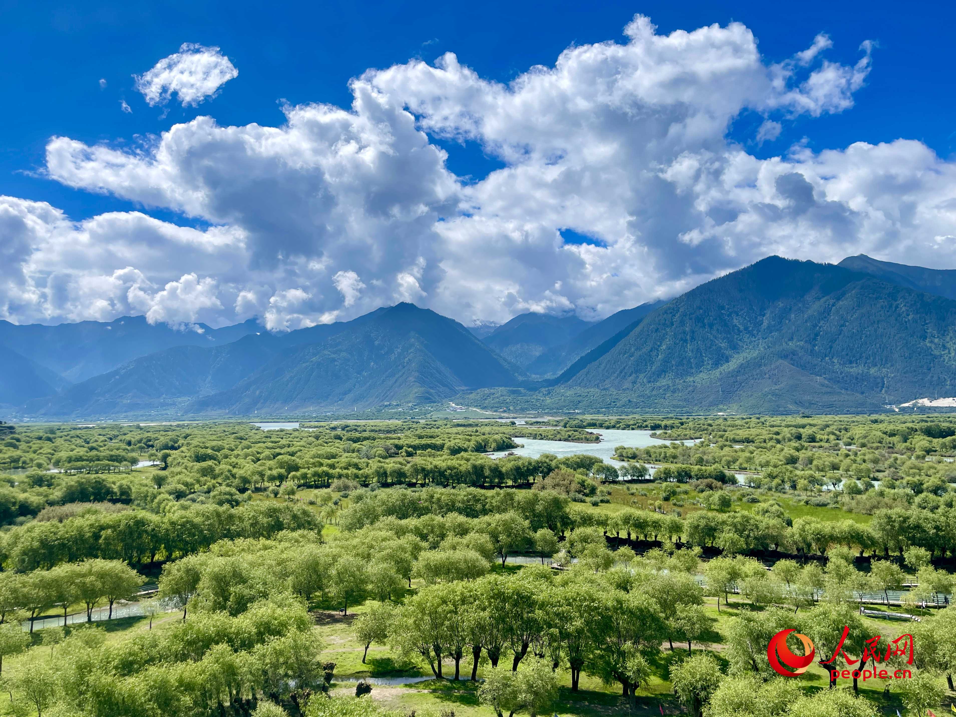 夏日的雅尼國家濕地公園生機(jī)盎然，如詩如畫。人民網(wǎng) 周靜圓攝