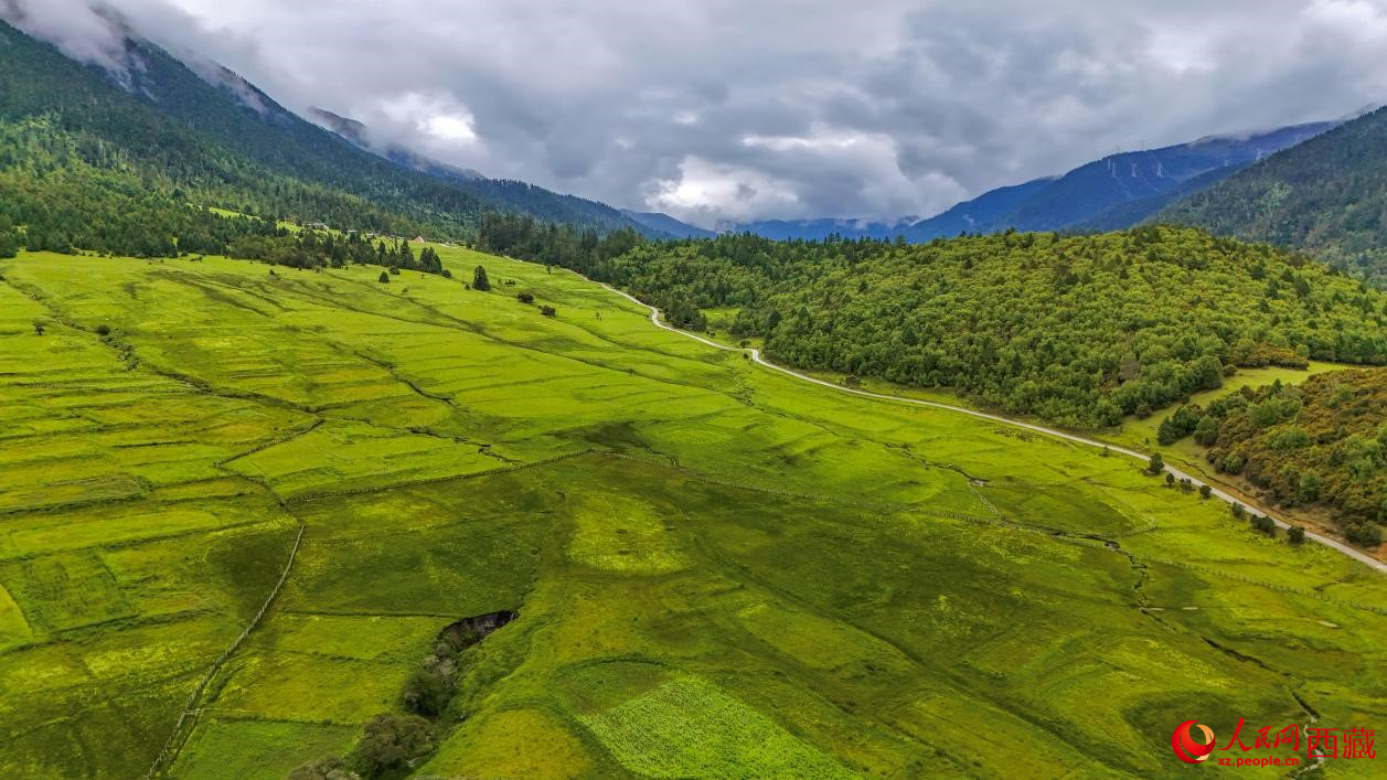 圖為航拍高山牧場鳥瞰圖。人民網(wǎng)記者 次仁羅布攝