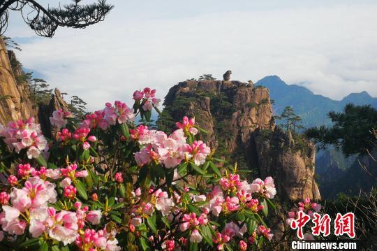 黃山風(fēng)景區(qū)“五一”小長假客流、車流平穩(wěn)